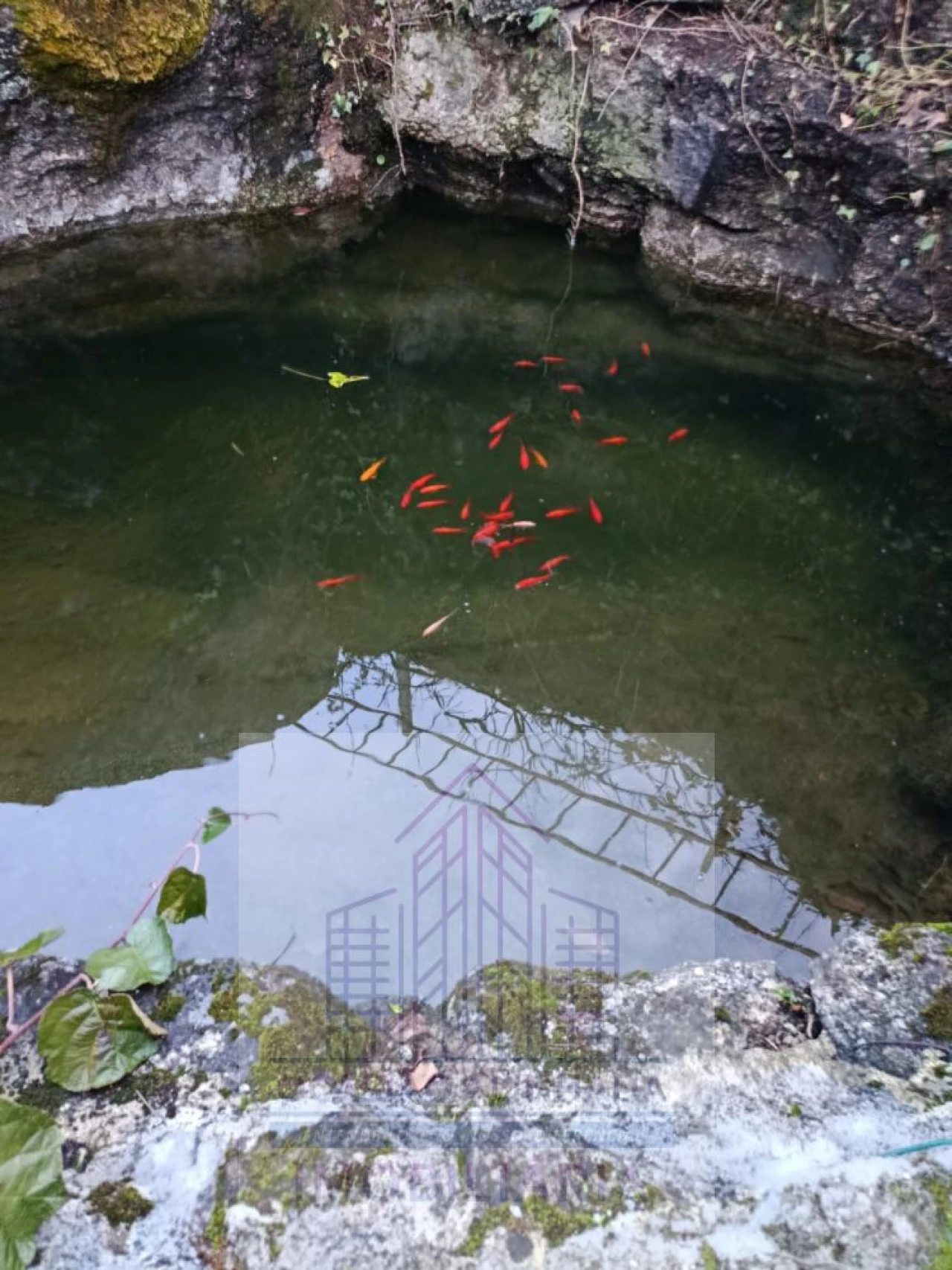 Terreno para Venda em Lagos da Beira e Lajeosa Foto 1