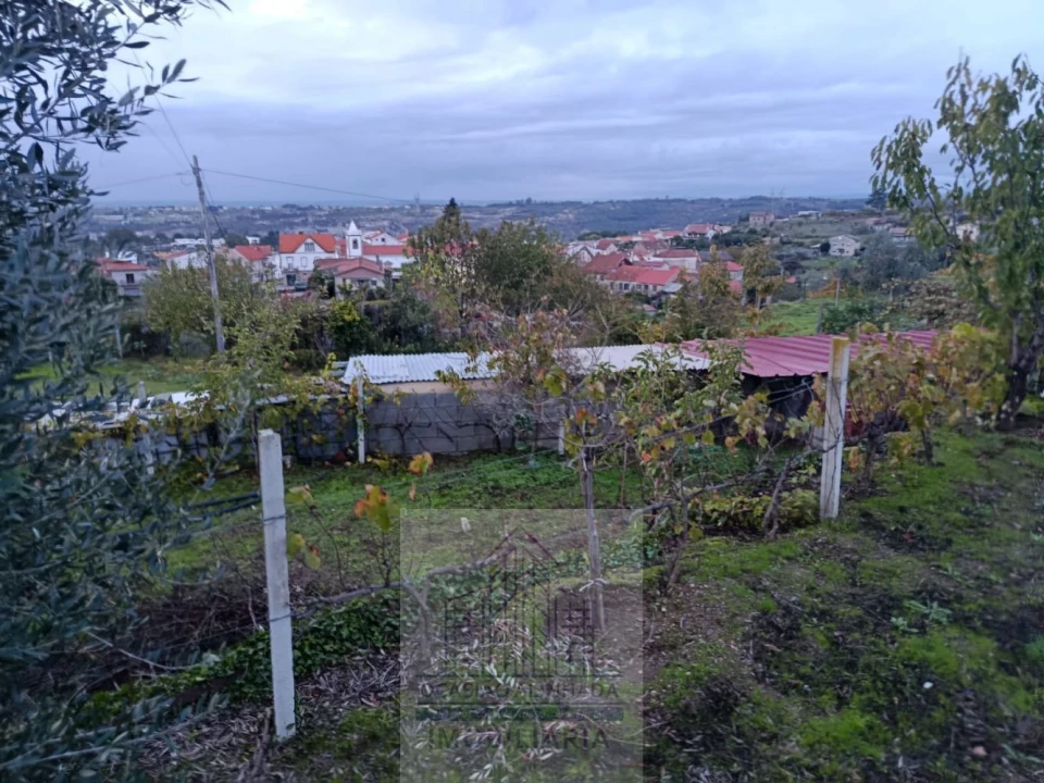 Terreno para Venda em Lagos da Beira e Lajeosa Foto 8