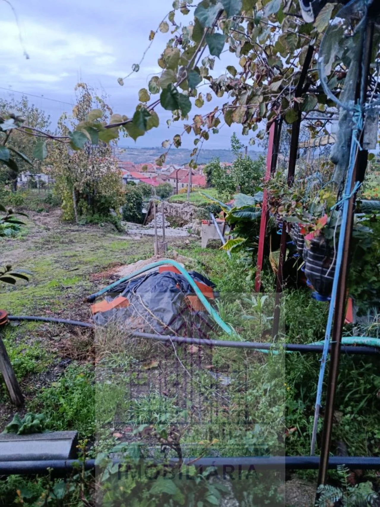 Terreno para Venda em Lagos da Beira e Lajeosa Foto 18
