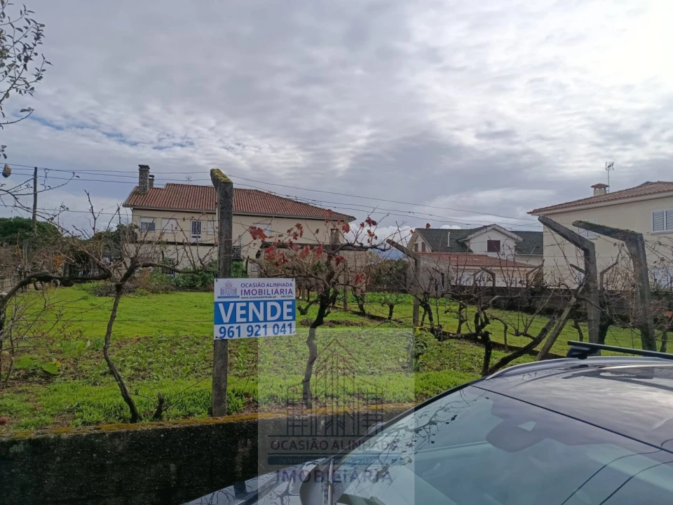 Terreno para Venda em Nogueira do Cravo Foto 21