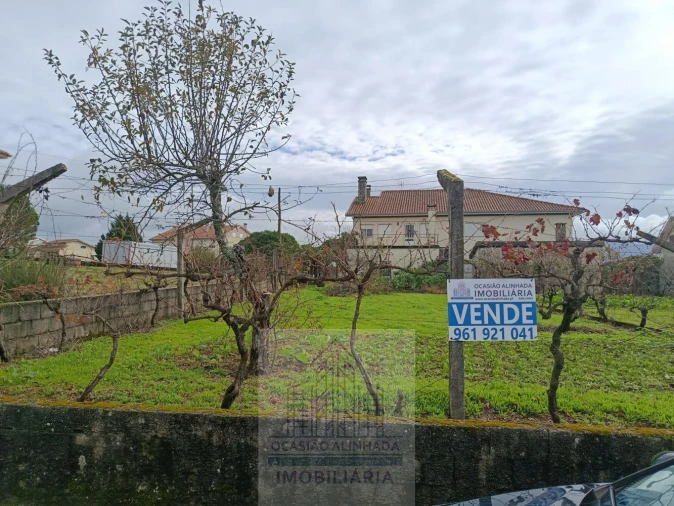 Terreno para Venda em Nogueira do Cravo Foto 23