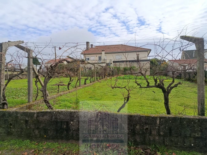 Terreno para Venda em Nogueira do Cravo Foto 1