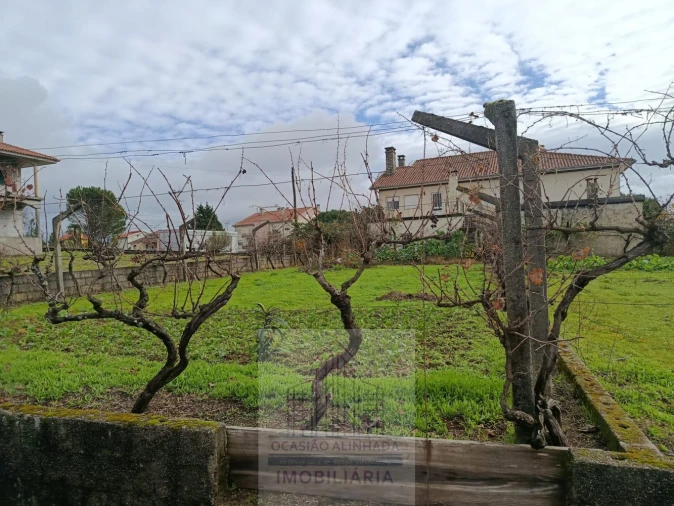 Terreno para Venda em Nogueira do Cravo Foto 6