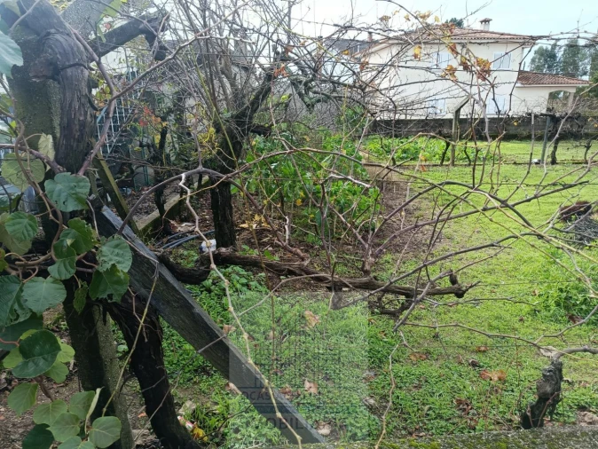 Terreno para Venda em Nogueira do Cravo Foto 9