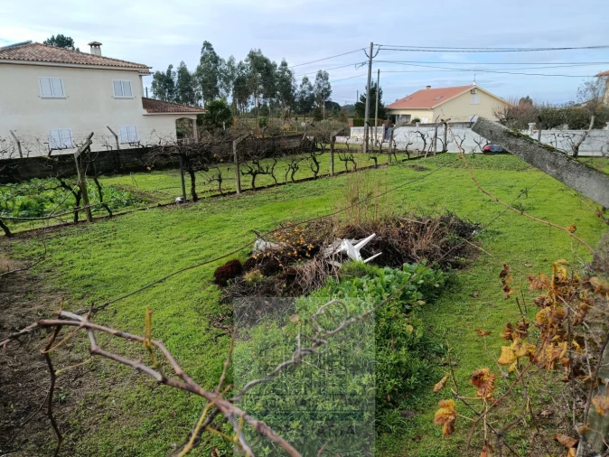 Terreno para Venda em Nogueira do Cravo Foto 14