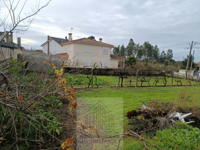 Terreno para Venda em Nogueira do Cravo Foto 13