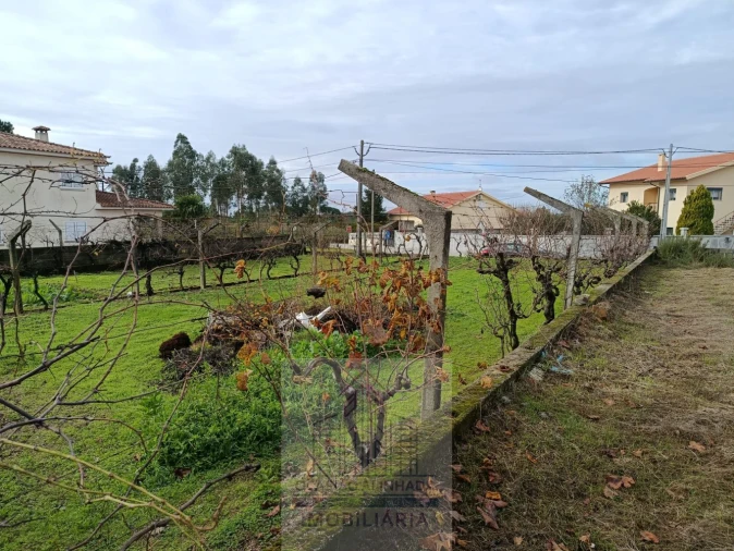 Terreno para Venda em Nogueira do Cravo Foto 11