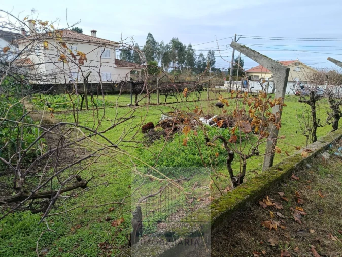 Terreno para Venda em Nogueira do Cravo Foto 8