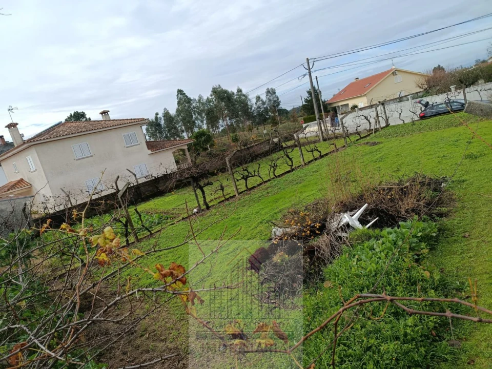 Terreno para Venda em Nogueira do Cravo Foto 10