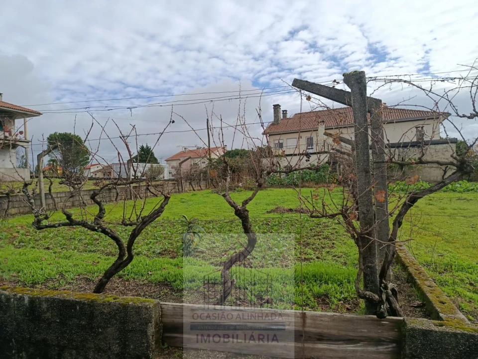Terreno para Venda em Nogueira do Cravo Foto 6