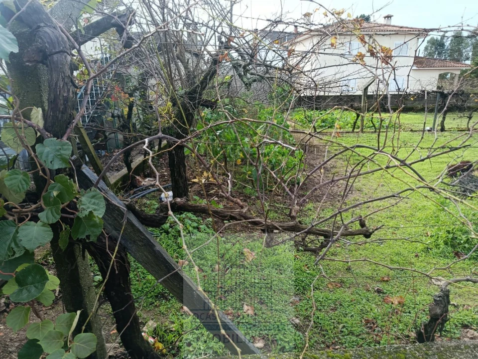 Terreno para Venda em Nogueira do Cravo Foto 9