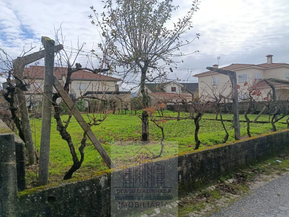 Terreno para Venda em Nogueira do Cravo Foto 4