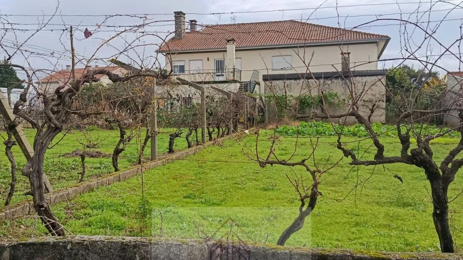Terreno para Venda em Nogueira do Cravo