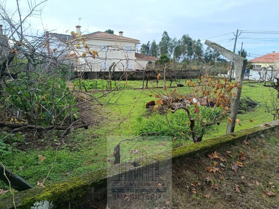 Terreno para Venda em Nogueira do Cravo Foto 16