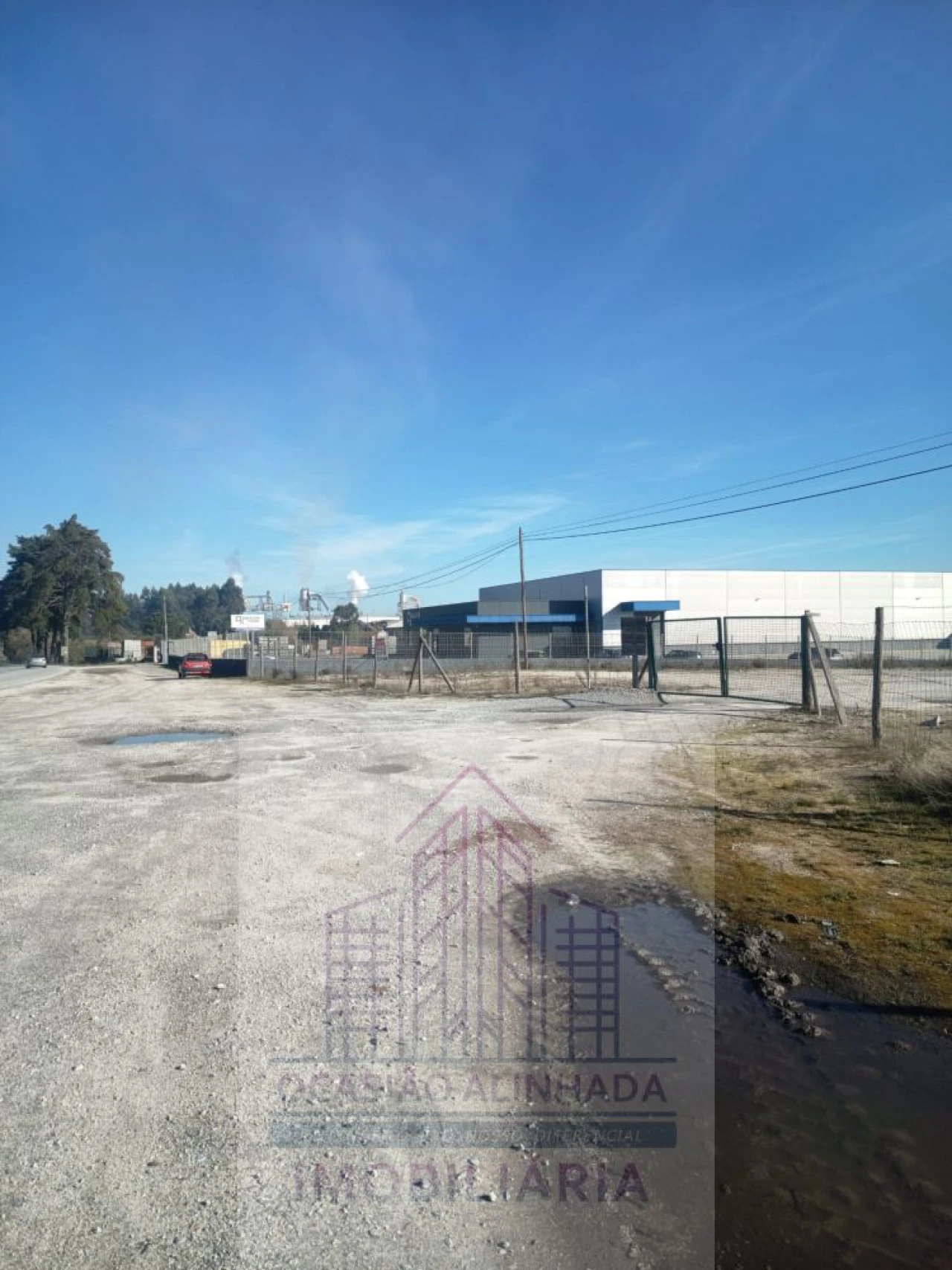 Terreno para Arrendamento em Nelas Foto 3