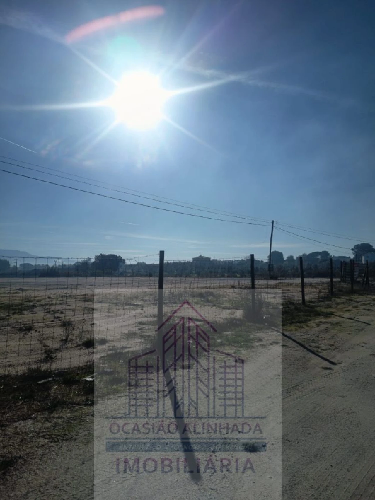 Terreno para Arrendamento em Nelas Foto 16