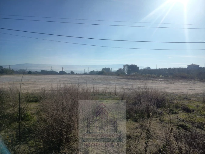 Terreno para Arrendamento em Nelas Foto 6