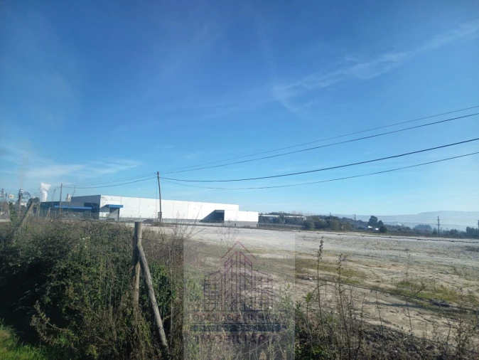 Terreno para Arrendamento em Nelas Foto 8