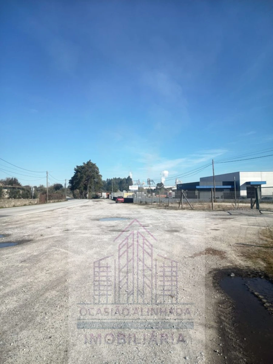 Terreno para Arrendamento em Nelas