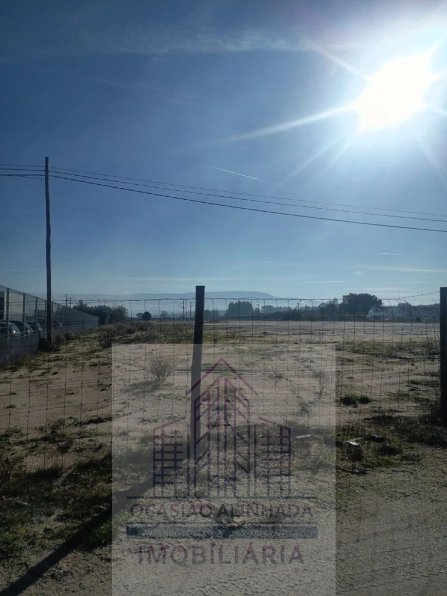 Terreno para Arrendamento em Nelas Foto 17