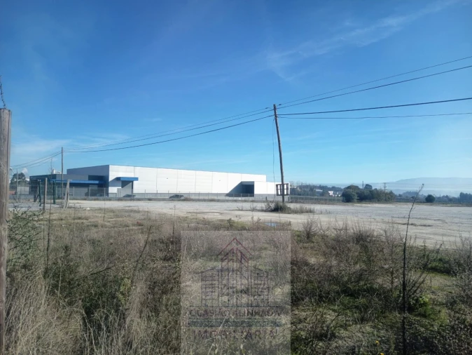 Terreno para Arrendamento em Nelas Foto 4