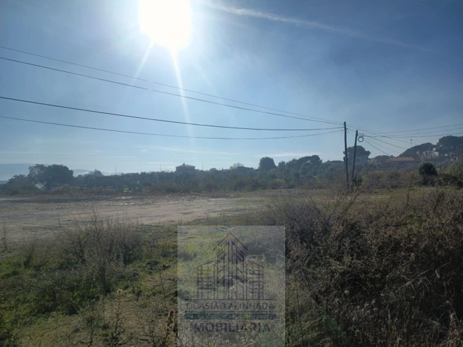 Terreno para Arrendamento em Nelas Foto 2