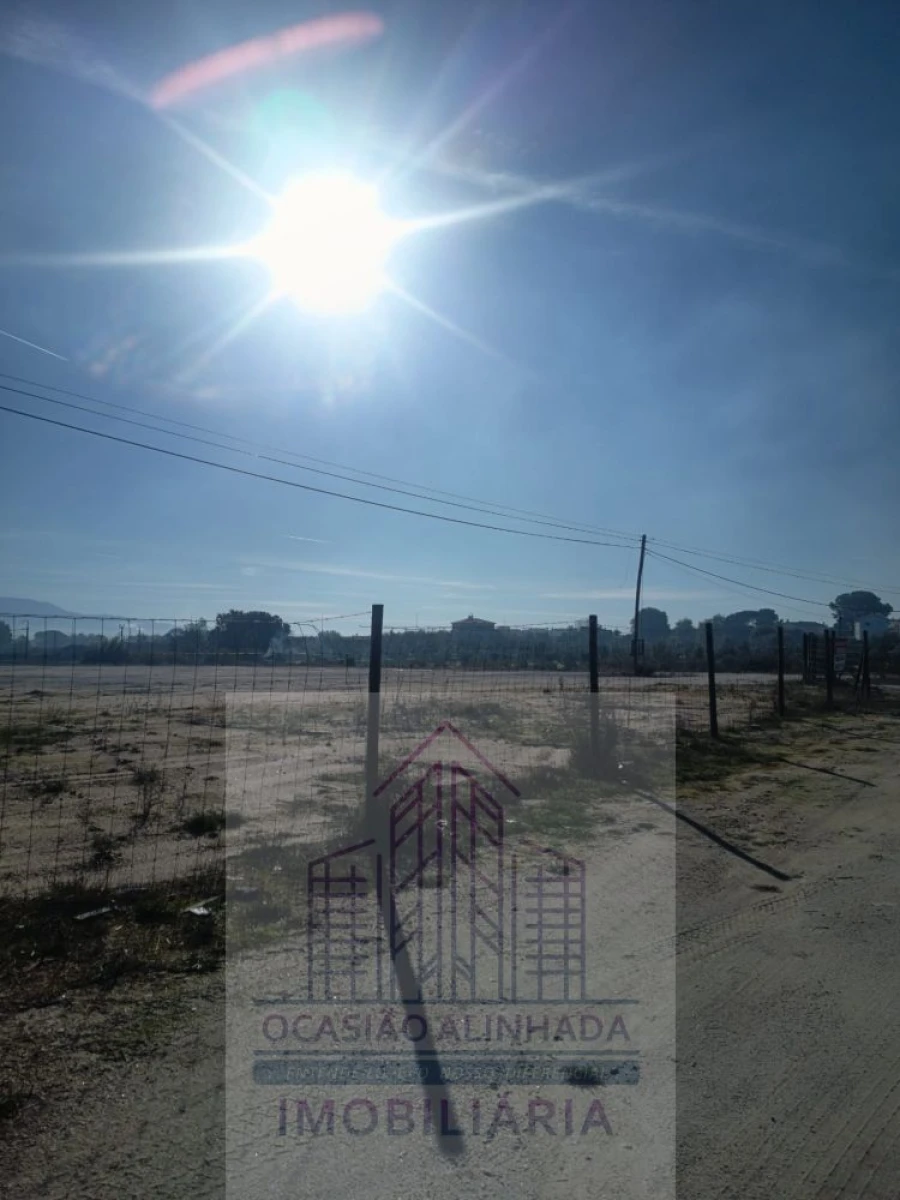 Terreno para Arrendamento em Nelas Foto 15