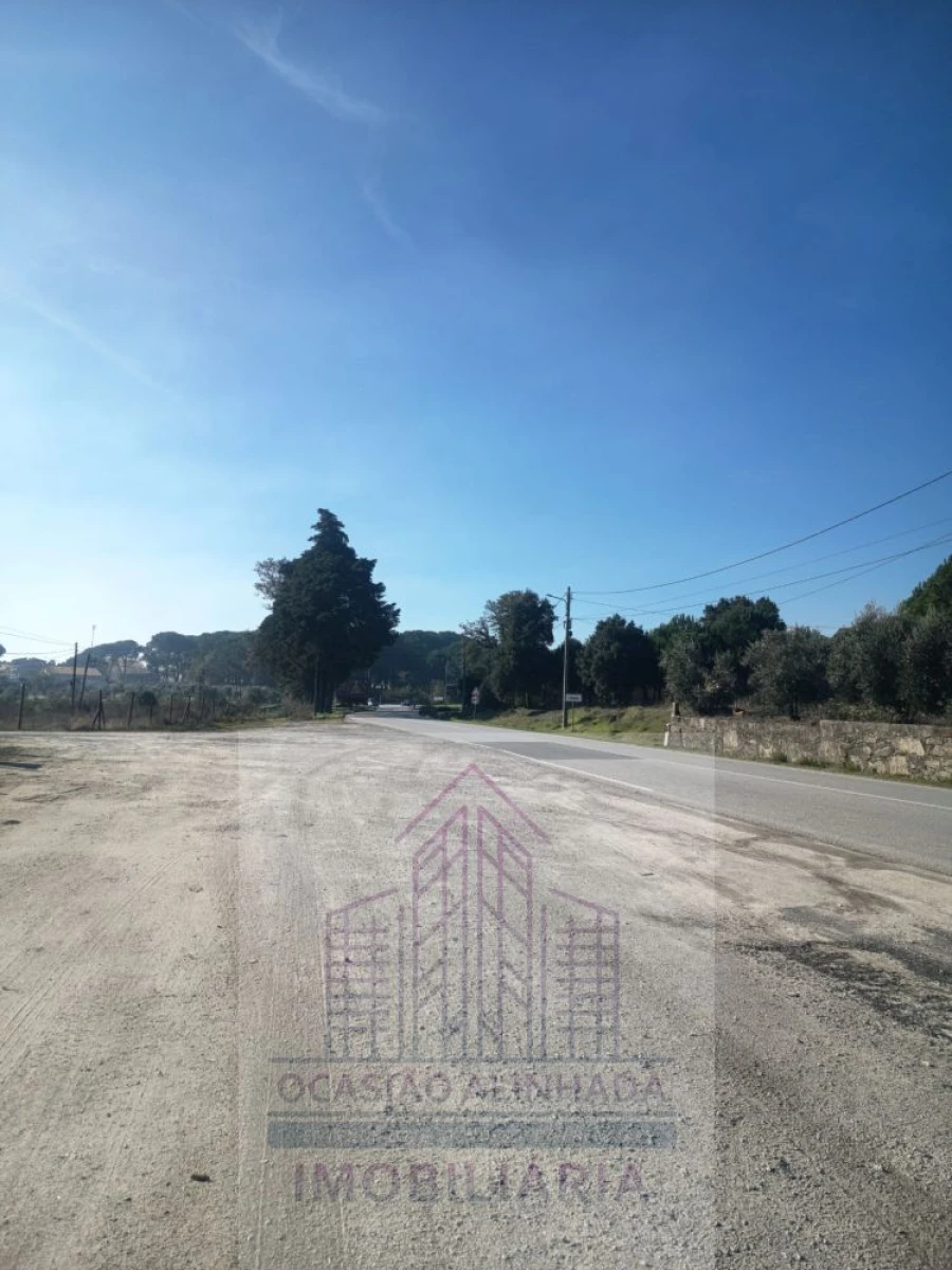 Terreno para Arrendamento em Nelas Foto 14