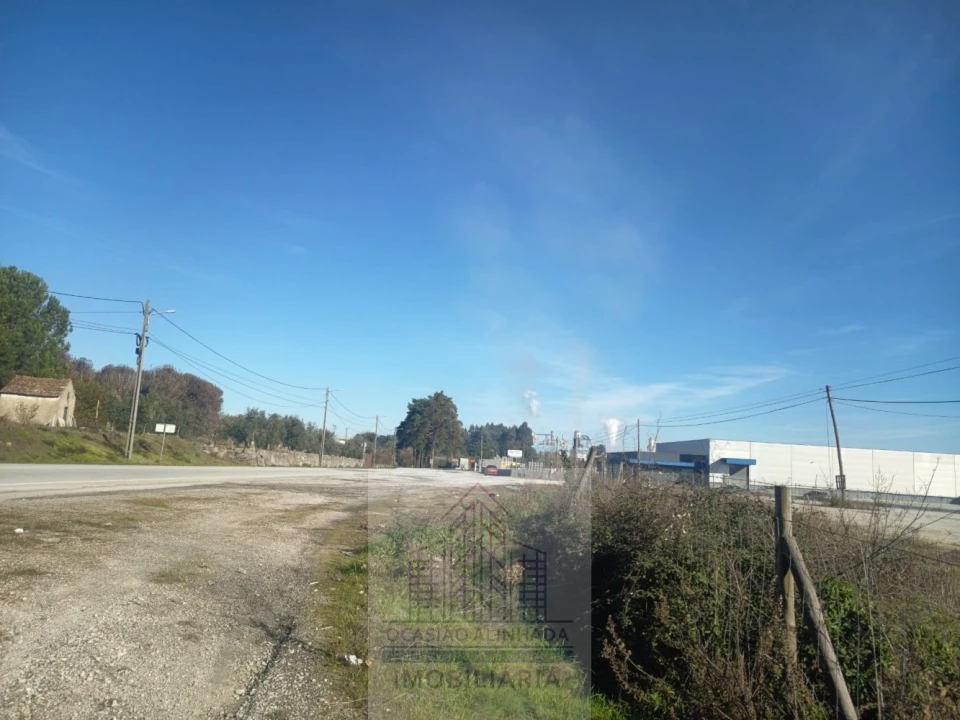 Terreno para Arrendamento em Nelas Foto 7