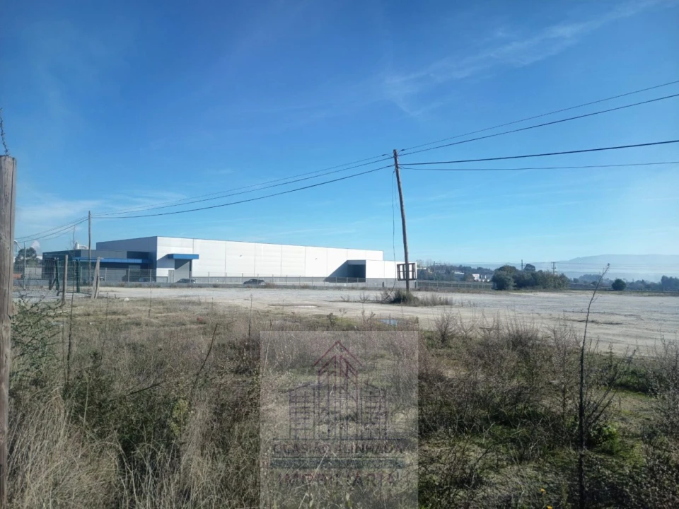 Terreno para Arrendamento em Nelas Foto 4