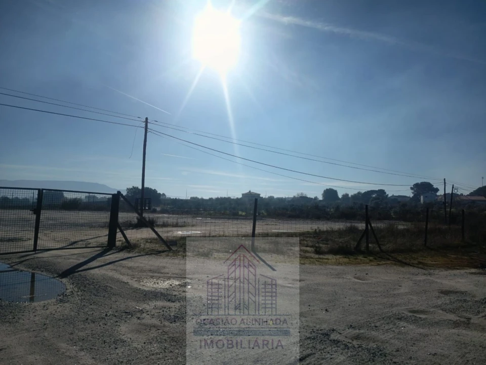 Terreno para Arrendamento em Nelas Foto 13