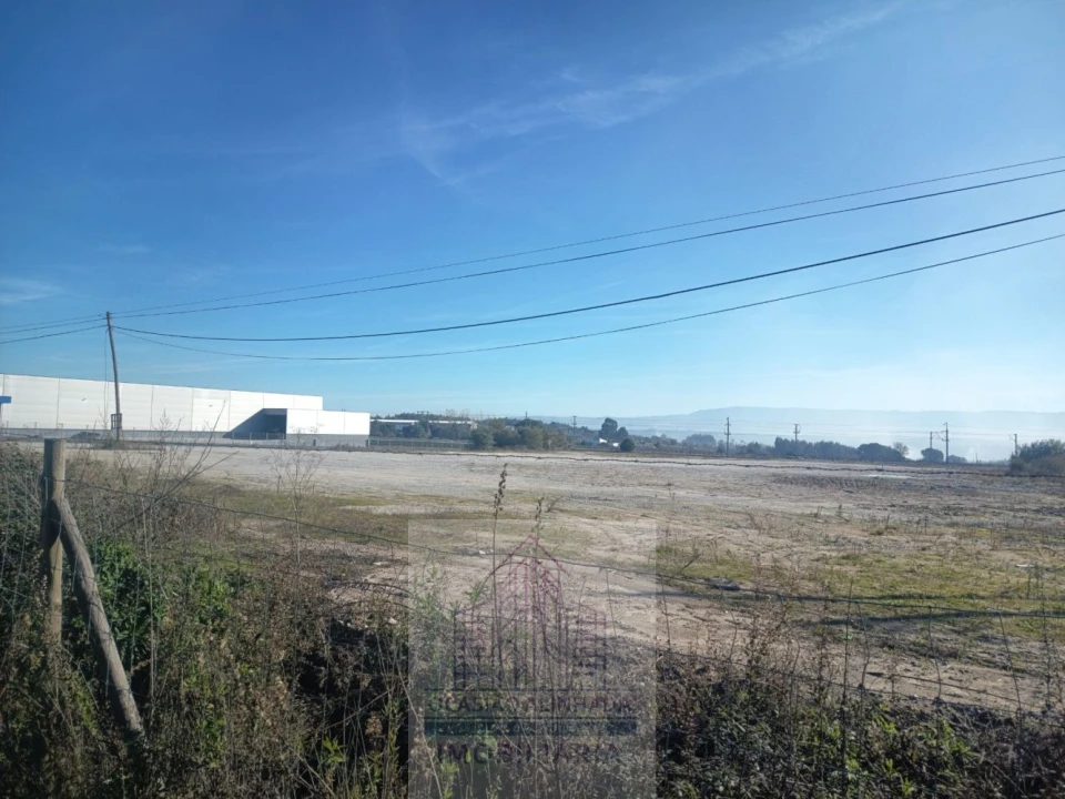 Terreno para Arrendamento em Nelas Foto 11