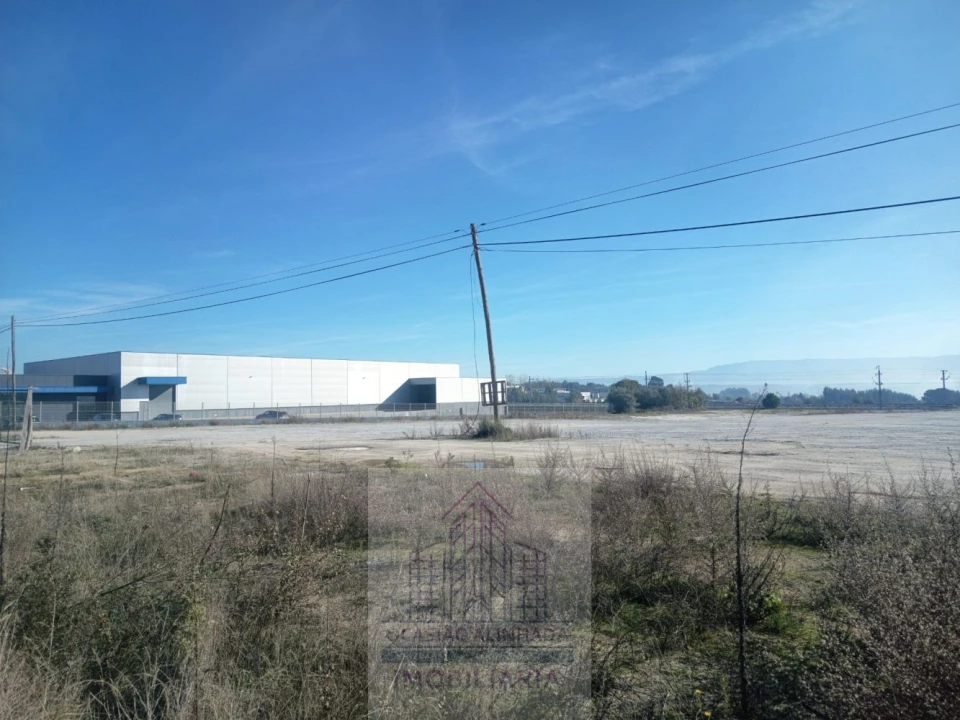 Terreno para Arrendamento em Nelas Foto 5