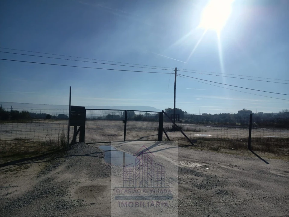 Terreno para Arrendamento em Nelas Foto 12