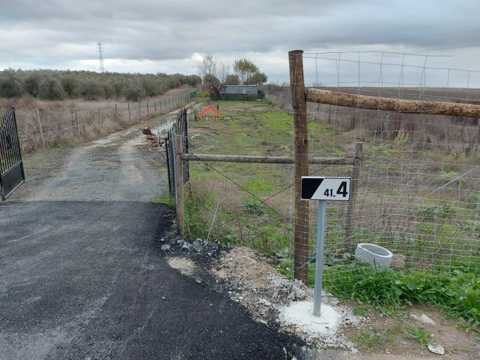 Terreno Agricola ou Rústico para Venda em Ferreira do Alentejo e Canhestros Foto 1