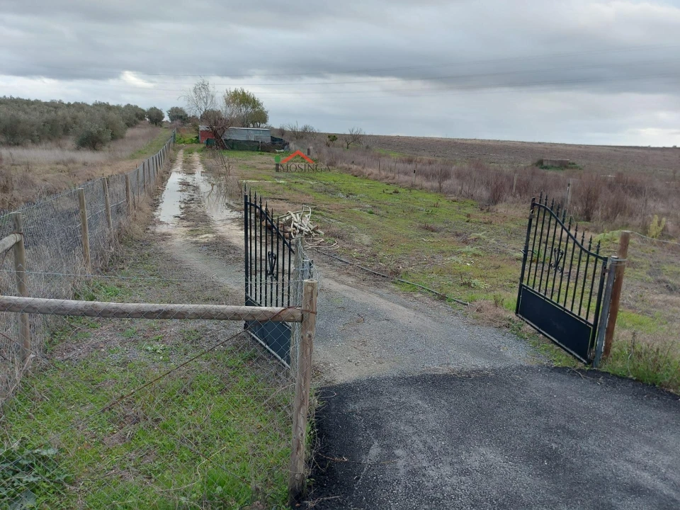 Terreno Agricola ou Rústico para Venda em Ferreira do Alentejo e Canhestros Foto 2