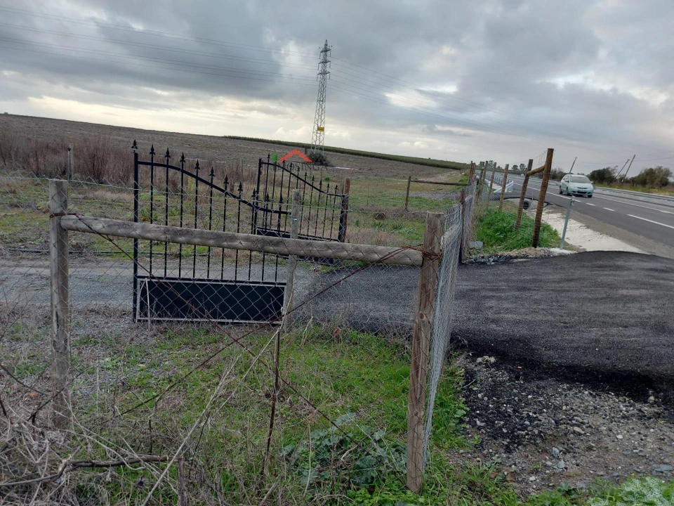 Terreno Agricola ou Rústico para Venda em Ferreira do Alentejo e Canhestros Foto 7