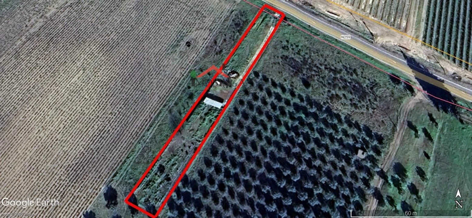 Terreno Agricola ou Rústico para Venda em Ferreira do Alentejo e Canhestros Foto 8