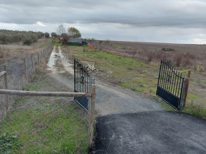 Terreno Agricola ou Rústico para Venda em Ferreira do Alentejo e Canhestros Foto 2
