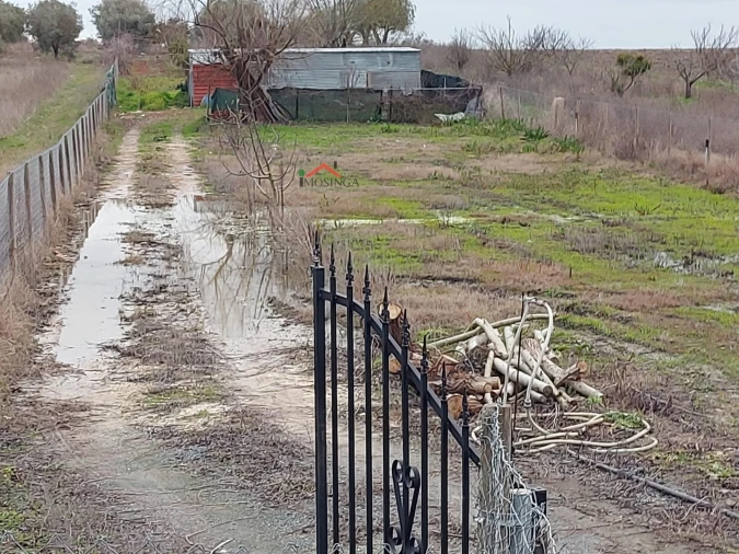 Terreno Agricola ou Rústico para Venda em Ferreira do Alentejo e Canhestros Foto 3