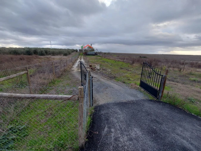 Terreno Agricola ou Rústico para Venda em Ferreira do Alentejo e Canhestros Foto 6