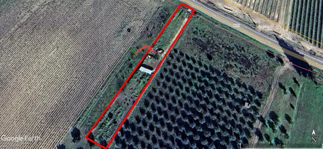 Terreno Agricola ou Rústico para Venda em Ferreira do Alentejo e Canhestros Foto 8