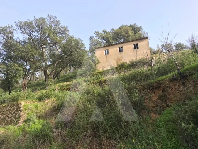 Terreno para Venda em Monchique Foto 4