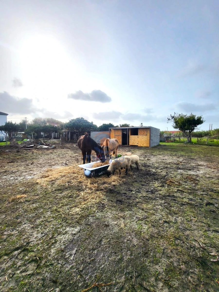 Quinta T6 para Venda em Alhos Vedros Foto 7