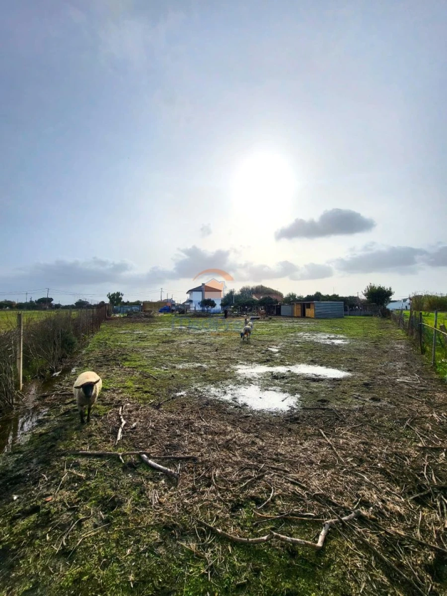 Quinta T6 para Venda em Alhos Vedros Foto 9