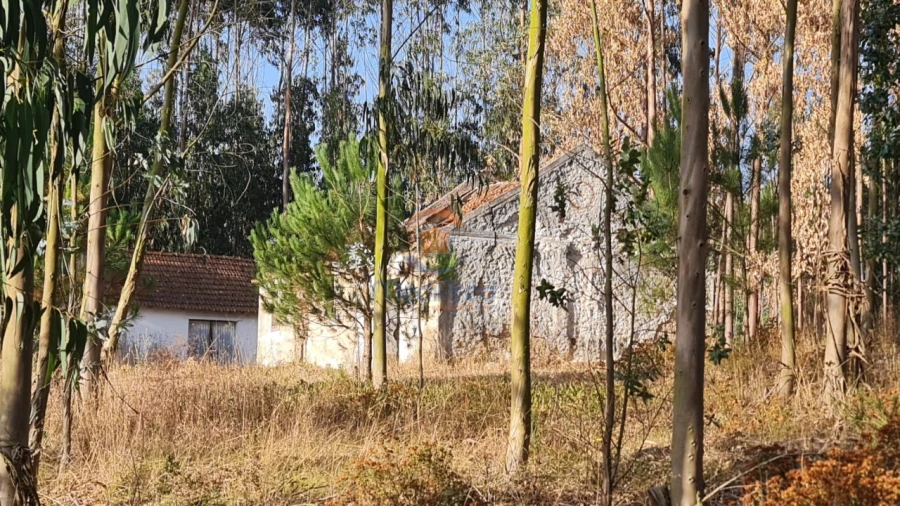 Moradia T2 para Venda em Maxial e Monte Redondo Foto 3