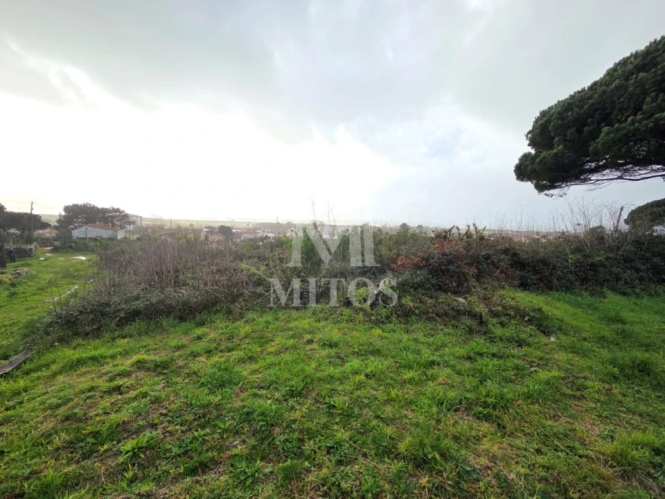 Terreno para Venda em Areosa Foto 3