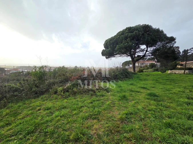 Terreno para Venda em Areosa Foto 1