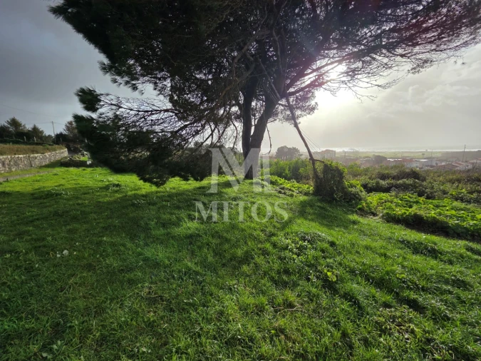 Terreno para Venda em Areosa Foto 4