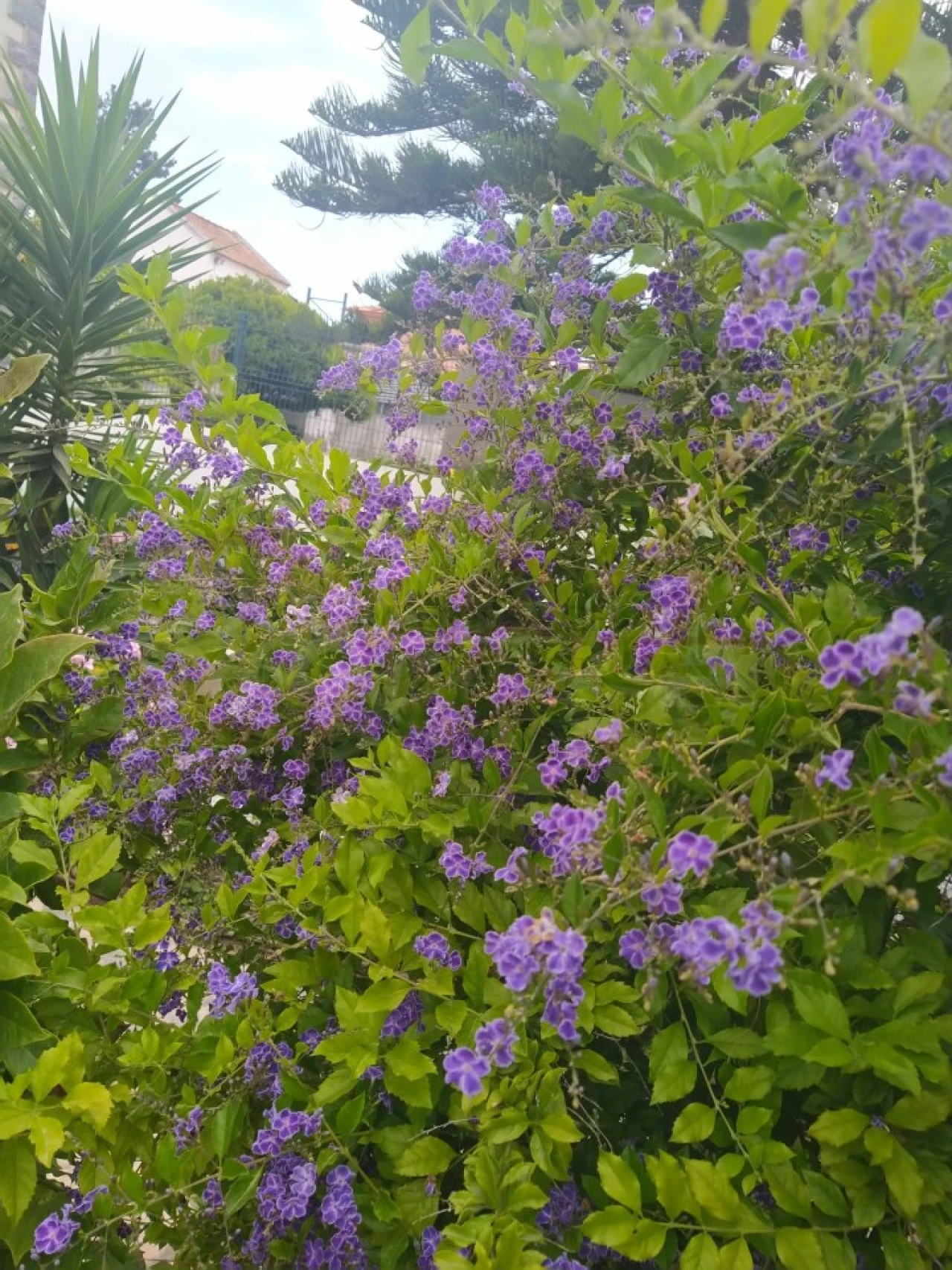 Moradia T4 para Venda em Charneca de Caparica e Sobreda Foto 10